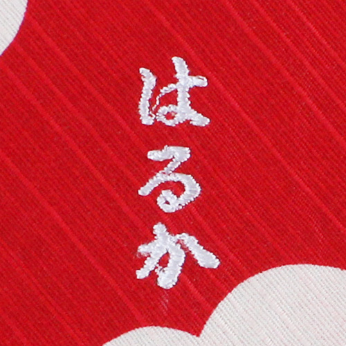 名入れ ペンテックス