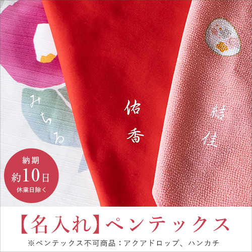 名入れ ペンテックス