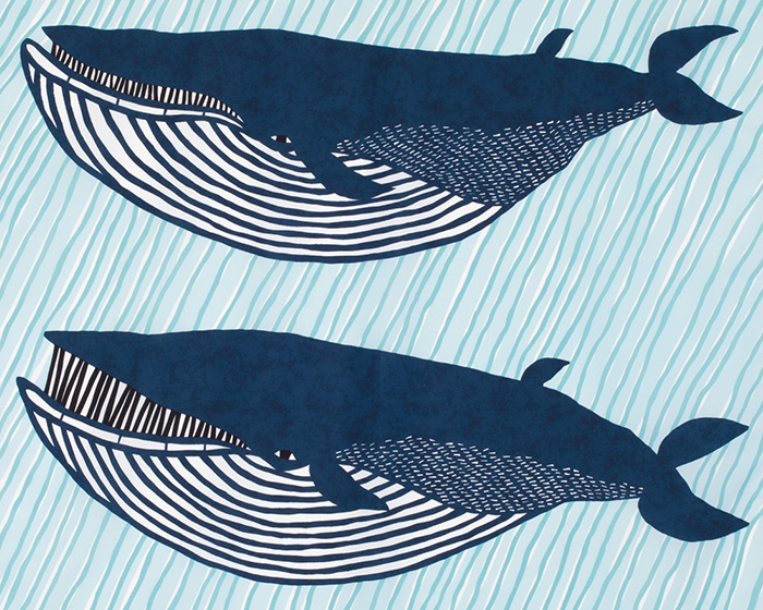 kata kata ナガスクジラ