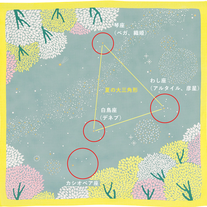 スターフォレスト