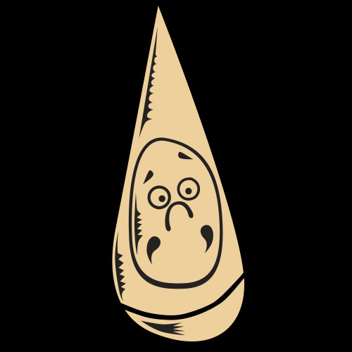 cochae-content-gangu-8.jpg