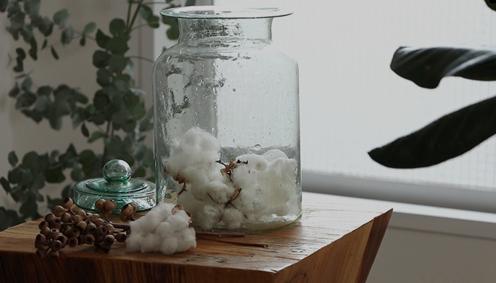 オーガニックコットン